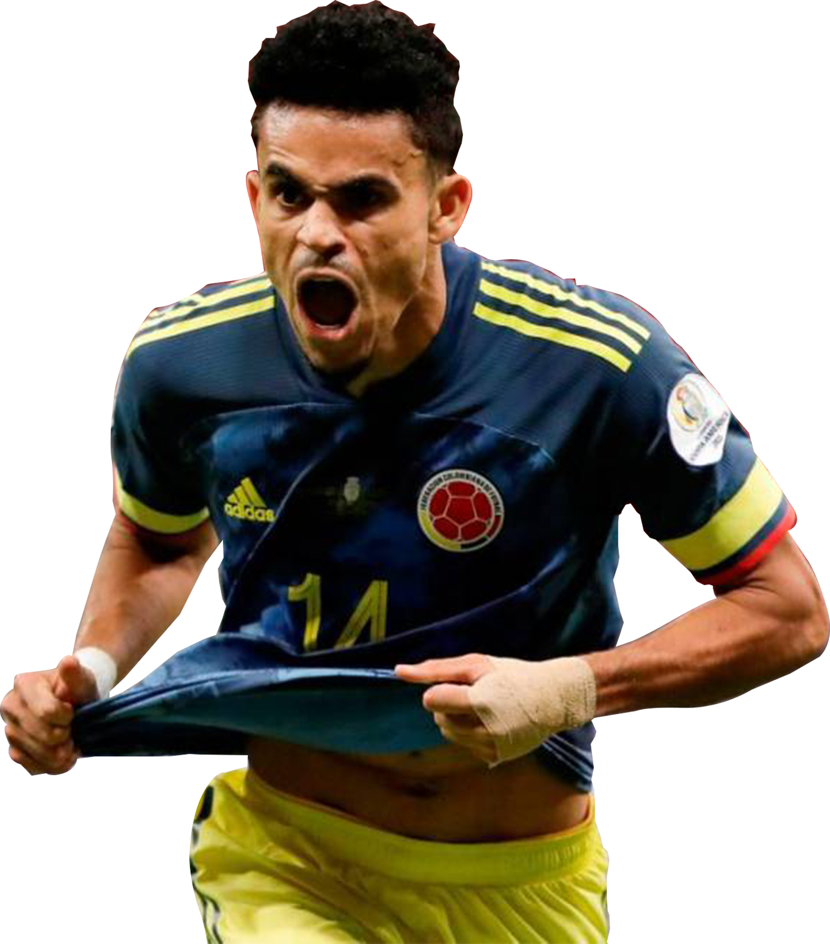 Trofeo FIFA World Cup